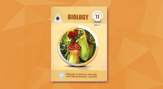 11-Biology.jpg